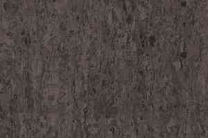Линолеум Tarkett iq Optima DARK BROWN 0900 фото  | FLOORDEALER